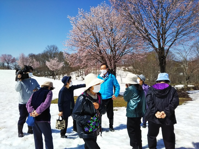福山新田の雪上桜を視察の画像