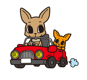 車に乗るカンガルー