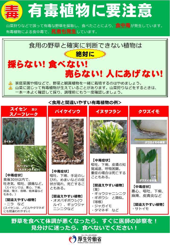 02+【リーフレット】有毒植物による食中毒予防について_1