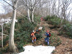 山岳遭難救助訓練の画像