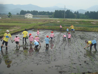 小出田植え