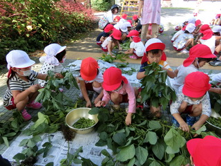 めぐみ幼稚園の画像2