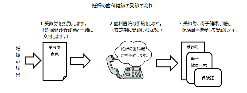 妊婦歯科健診の流れ