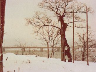 魚野川河畔と根小屋橋の写真