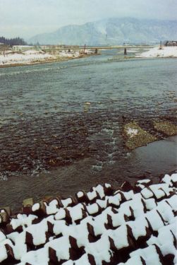 魚野川、破間川合流点の写真