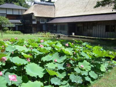 夏の目黒邸6