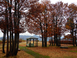 道光高原緑地公園の画像