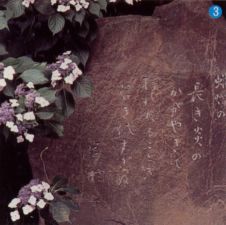 東京都日野市高幡不動