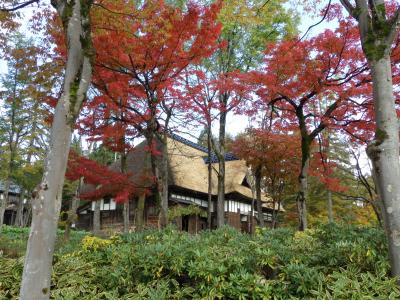 紅葉と目黒邸の写真