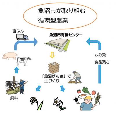 有機堆肥「魚沼げんき」チラシ2