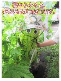 裏側からの写真