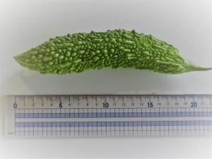 第1号