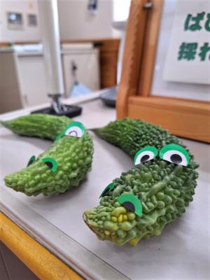 ぱぴぷのグリーンカーテン