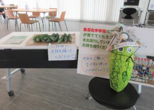 市役所