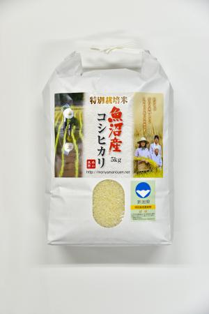 特別栽培米森山農園魚沼産コシヒカリ