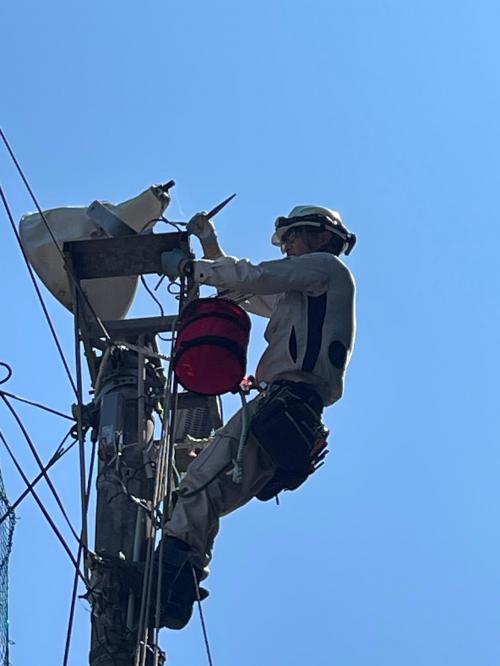 共成電氣工業