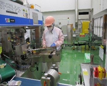 先輩社員の画像