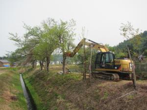 街中では、重機で木を支えて伐採作業を行う。