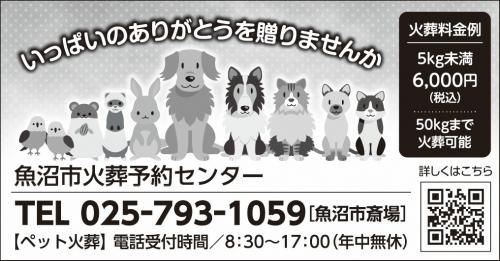 広告データ
