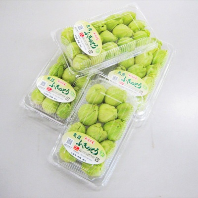 ふきのとう【魚沼促成山菜生産組合】