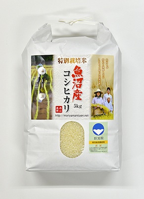 森山農園_森山農園特別栽培米魚沼産コシヒカリ