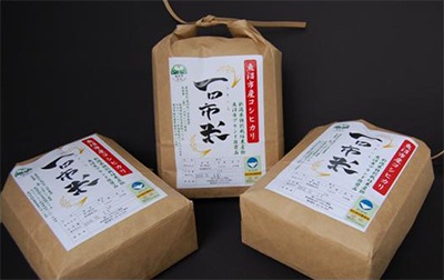 一日市米（魚沼産コシヒカリ）【（農）一日市ひかり農産】