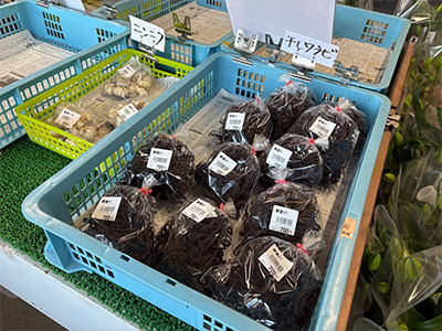 【直売所】下島農家直売所　干しワラビ