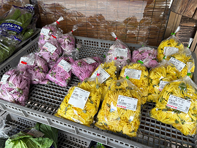 【直売所】ものずき村　かきのもと