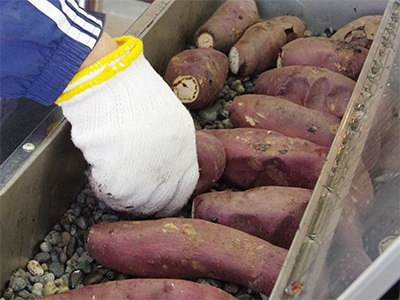UONUMA FARMER’S MARKET 焼き芋