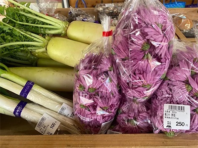 元気すもん　商品1