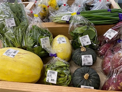 元気すもん　商品2