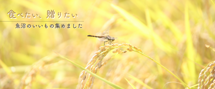 うおぬまの逸品