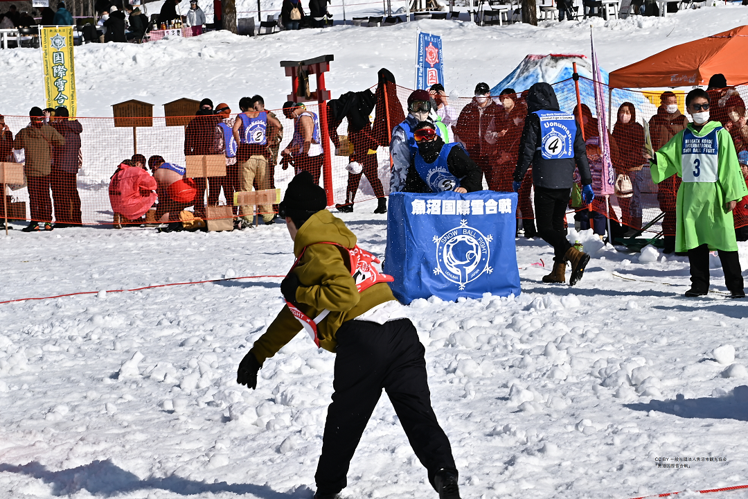 魚沼国際雪合戦