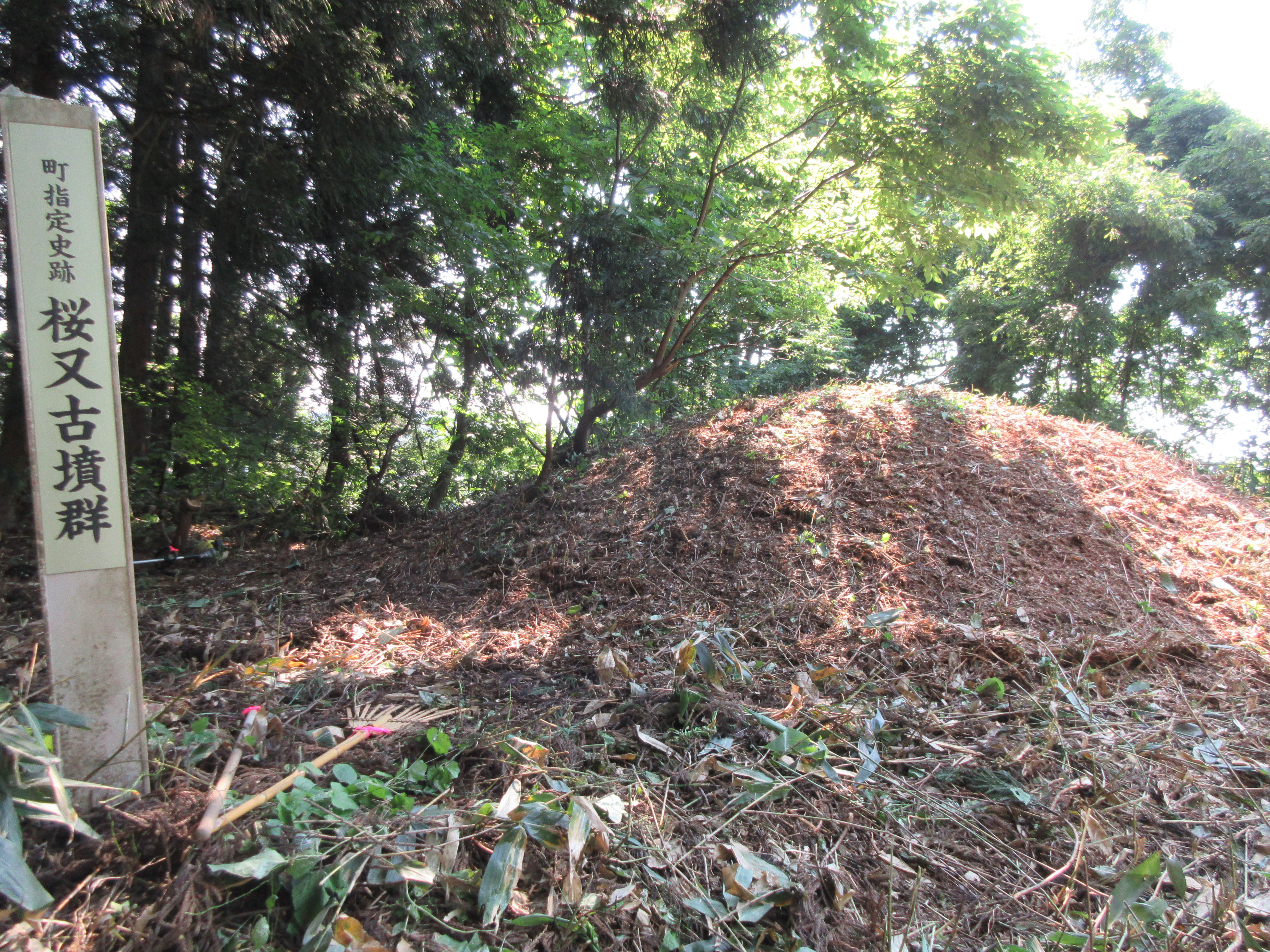 桜又の古墳（古林古墳群）1