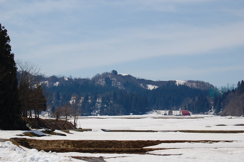堀之内城跡 遠景