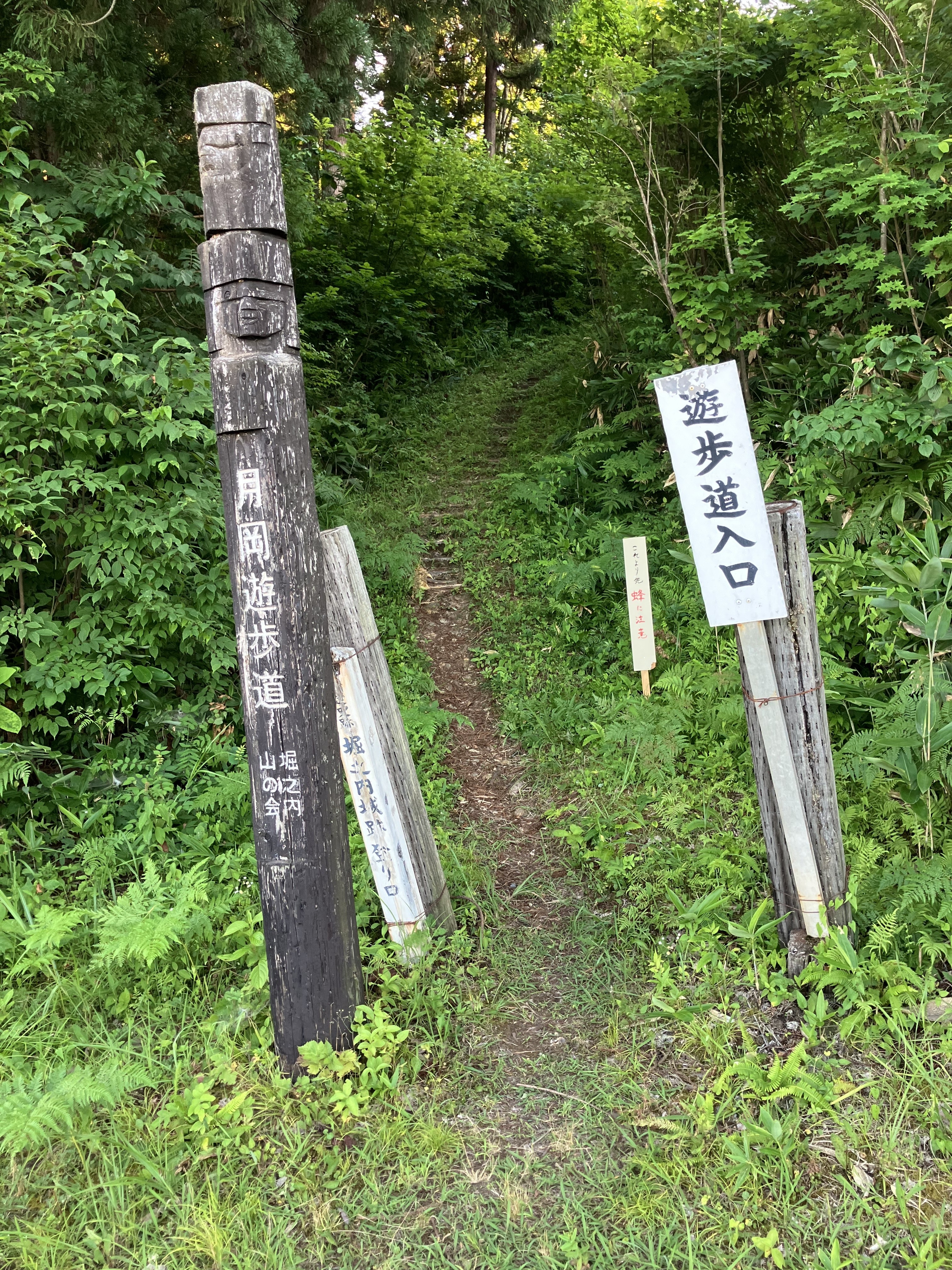 月岡公園からの登道