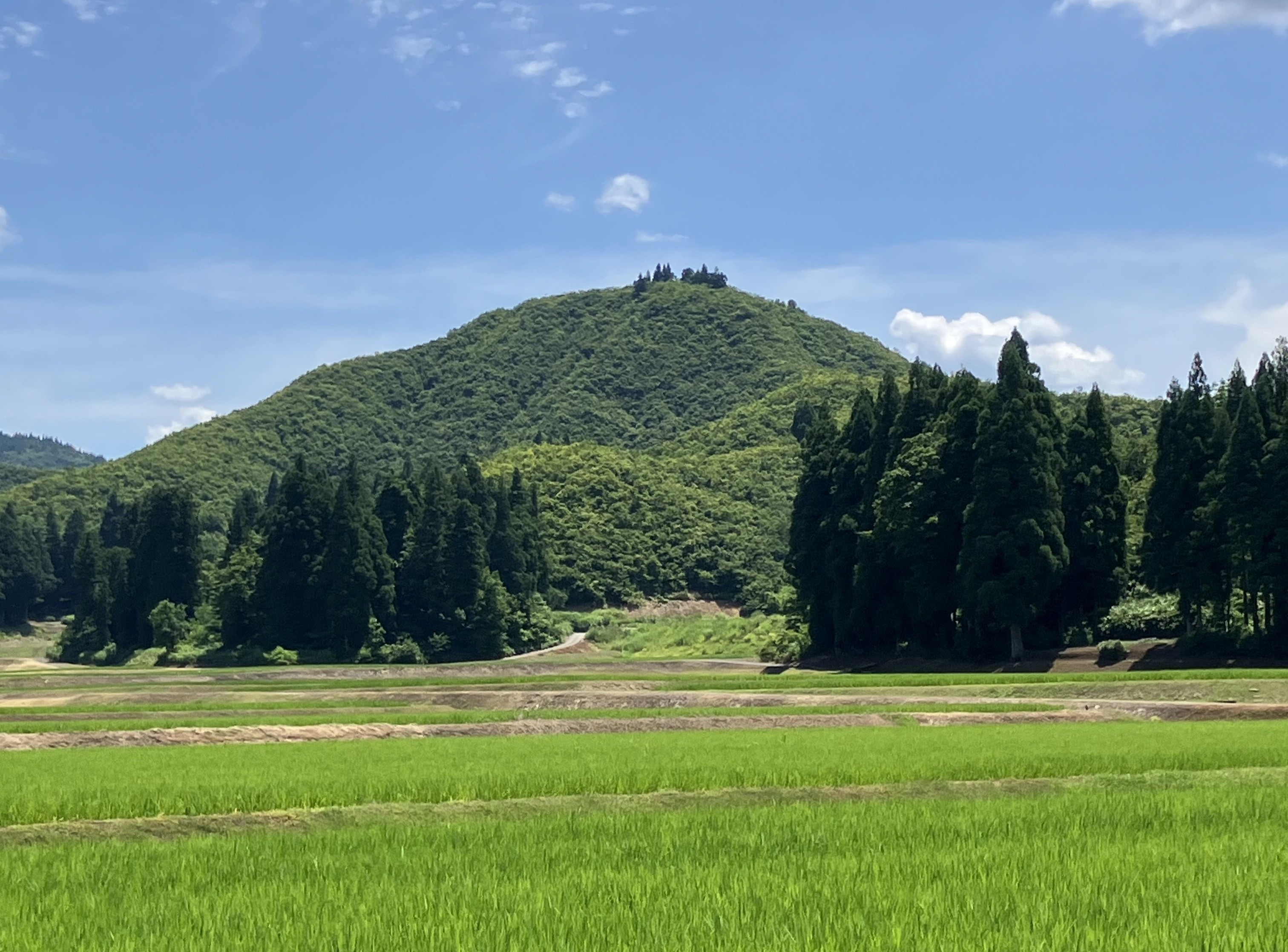 琴平山