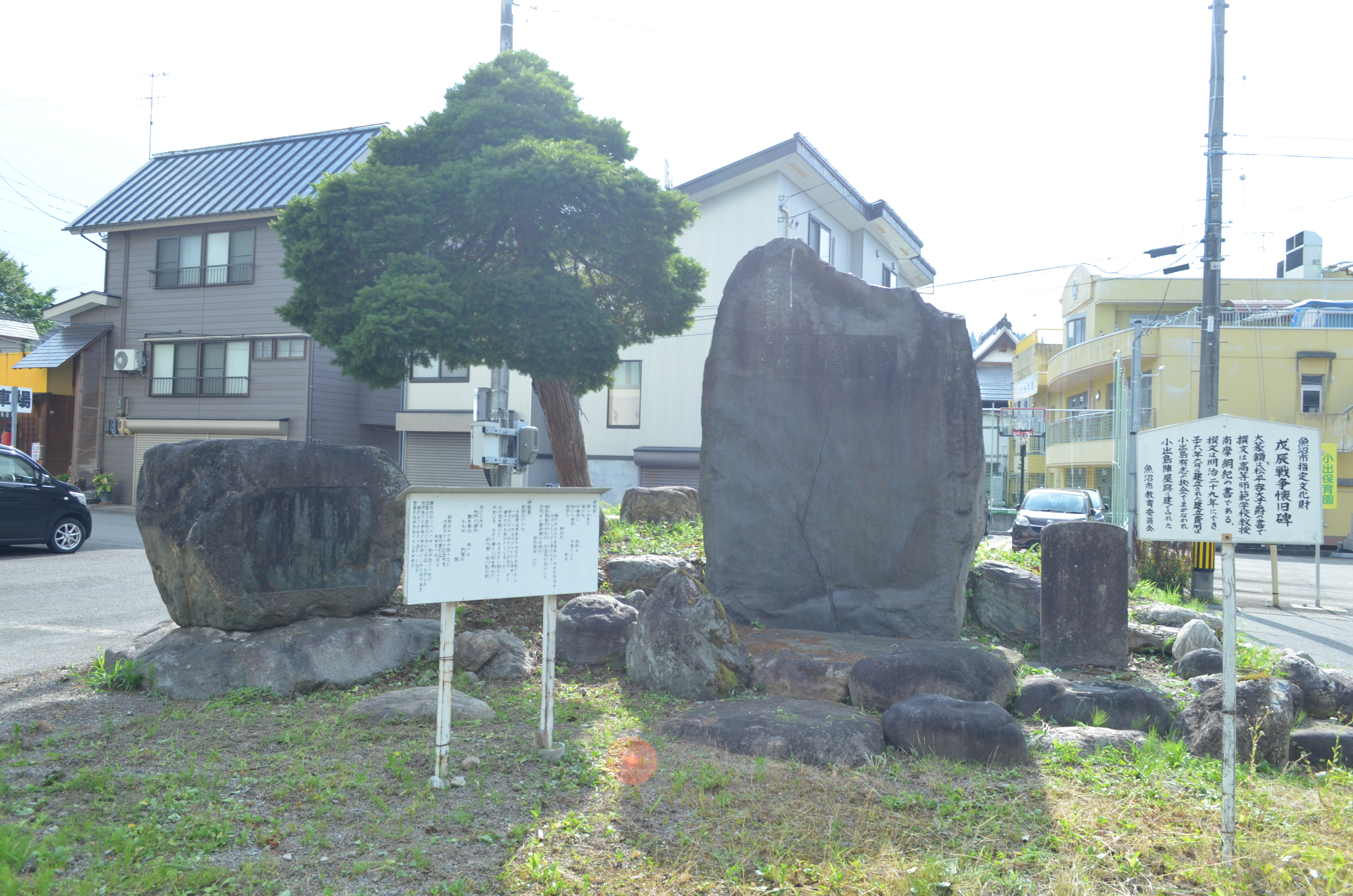 少し離れた様子