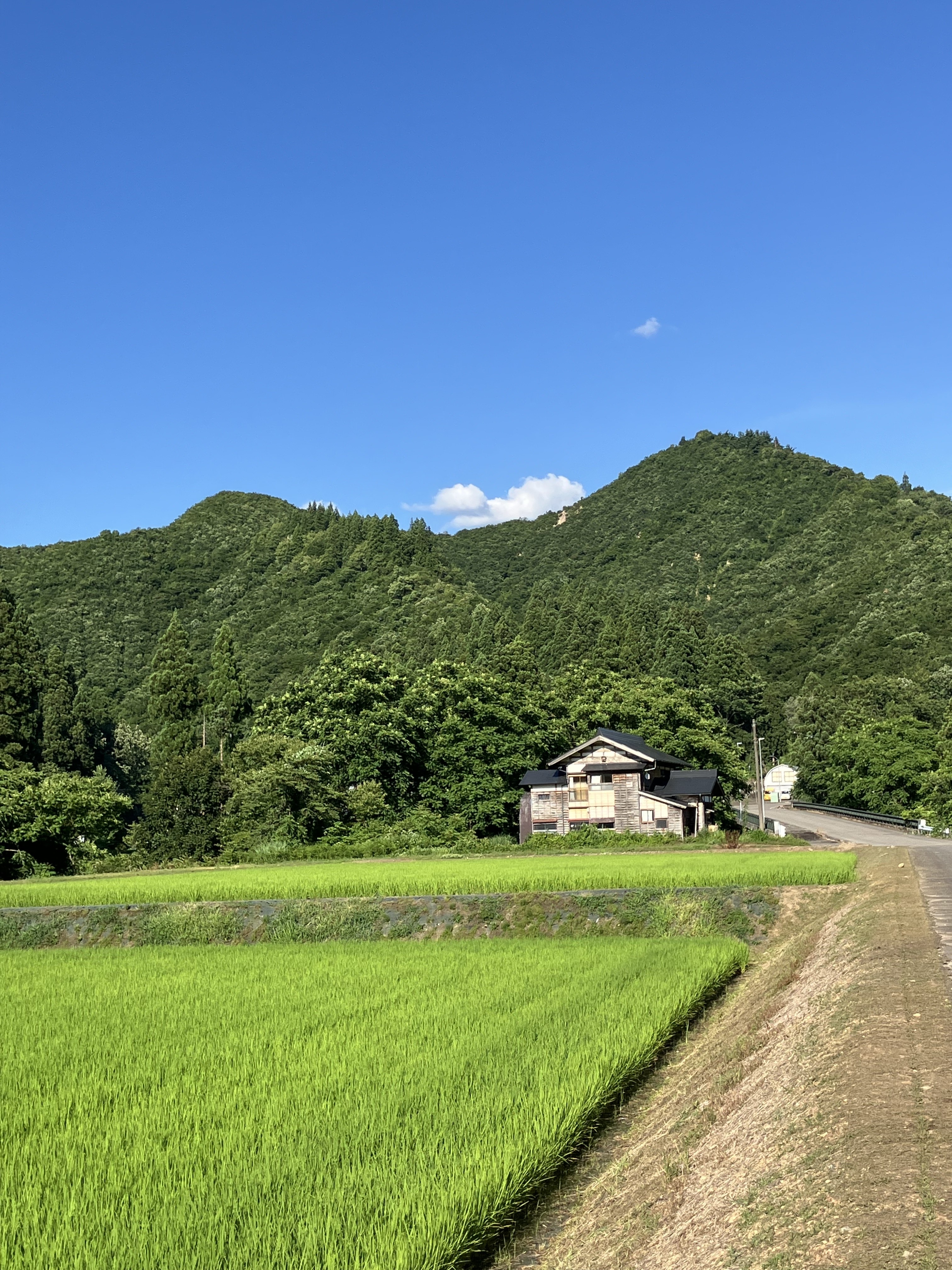 中子沢集落から
