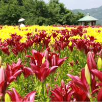 月岡公園