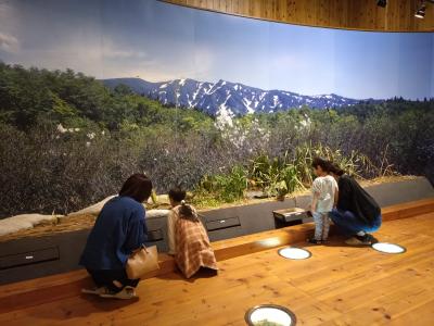 浅草山麓に住む動物について知る