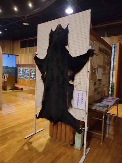 クマの毛皮