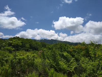 残雪が残る浅草岳
