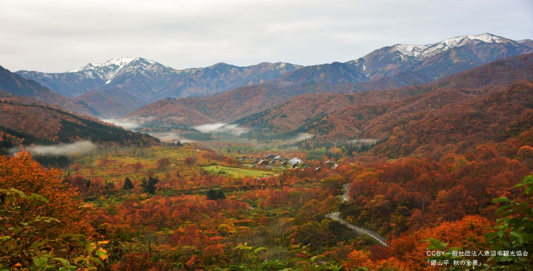 銀山平　秋の全景