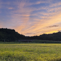 田んぼの夕焼け