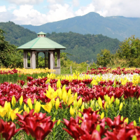 月岡公園