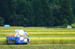 ふるさと納税_稲刈りの風景