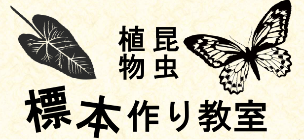 標本教室画像