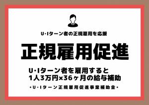 正規雇用サムネイル